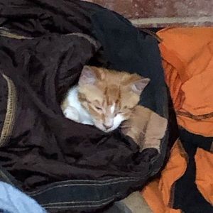 Meet your Posher, Becky